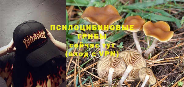 амф Зеленокумск