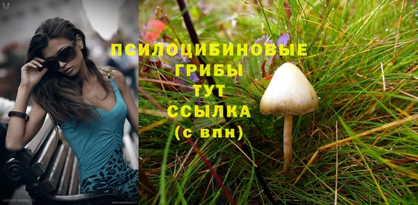 амф Зеленокумск