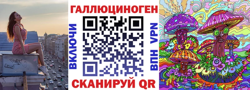 Купить  Ефремов  Галлюциногенные грибы Magic Shrooms 